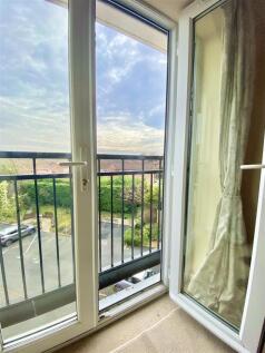 IMG_7966.jpeg