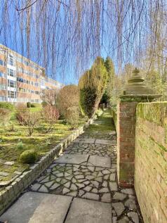IMG_8030.jpeg
