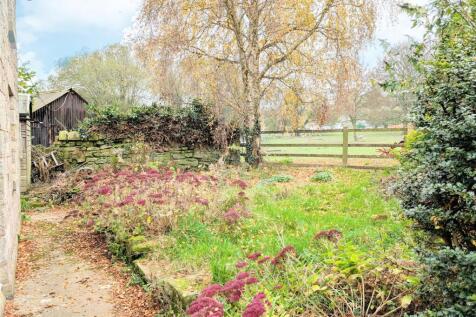 garden.jpg