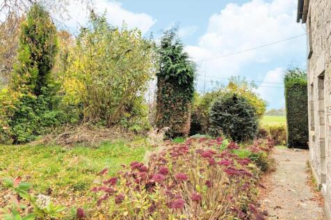 garden 1.jpg