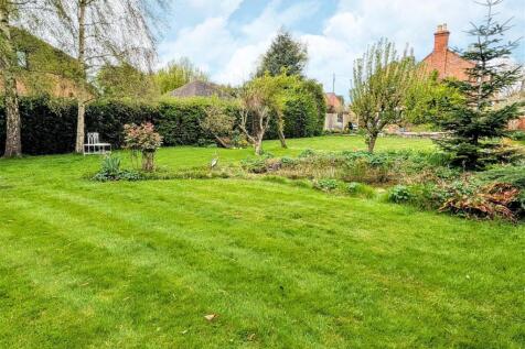 garden 3.jpg
