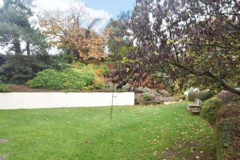 garden 1.jpg