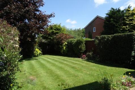 garden.jpg