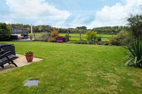 garden 2.jpg