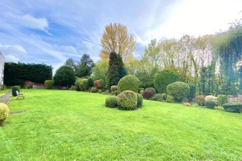 14 coton manor-4.jpg