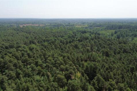 Wokefield Common
