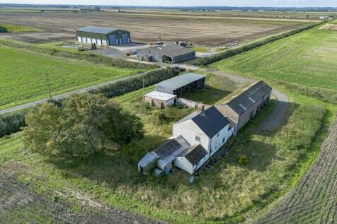 Aerial View - Rea...
