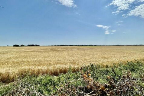 Field Views