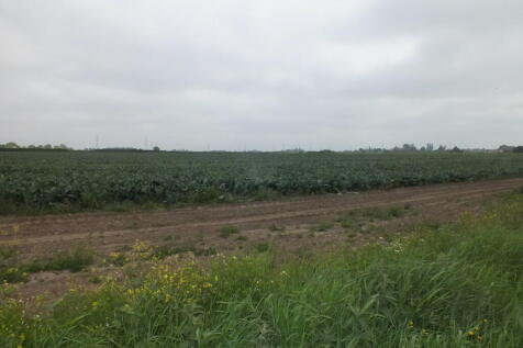 Field Views