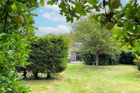 Property Image 43
