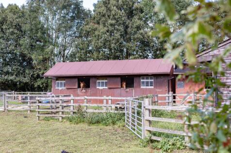 Property Image 41