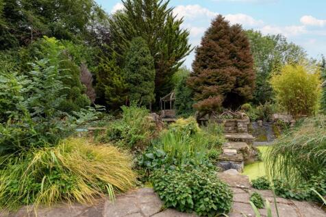 Garden &amp; Pond