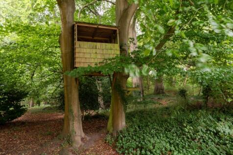 Woodland