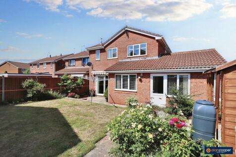 Property Image 32
