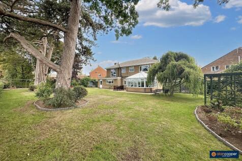 Property Image 41