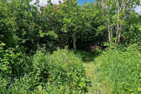 Orchard