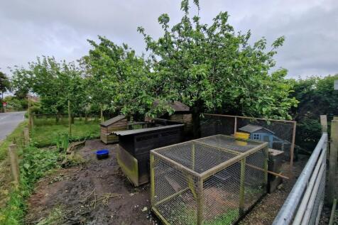 Orchard-Chicken Area