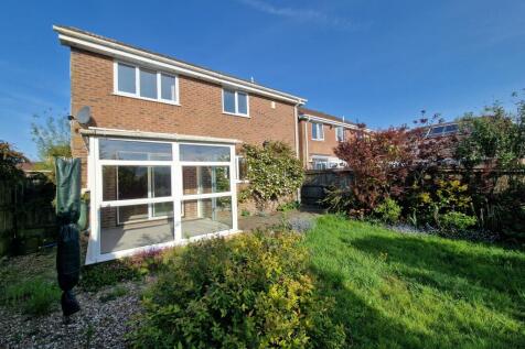 Rear Garden-angle 1