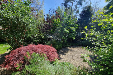 Rear Garden-angle 3