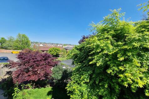Rear Garden-angle 5