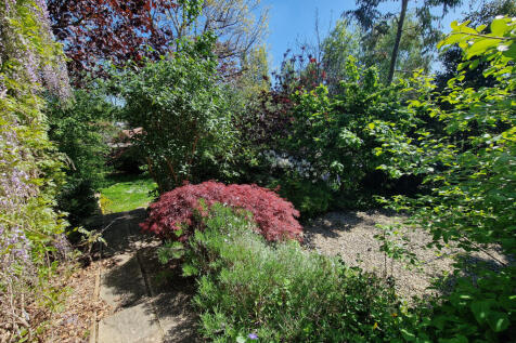 Rear Garden-angle 9