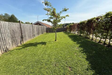 Outer Garden
