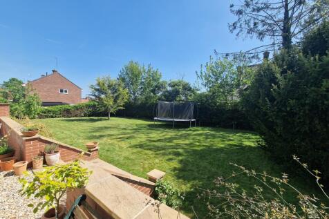 Rear Garden Lower Section