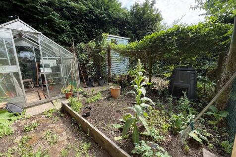 Veggie Plot