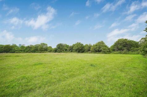 Jasmin Fields