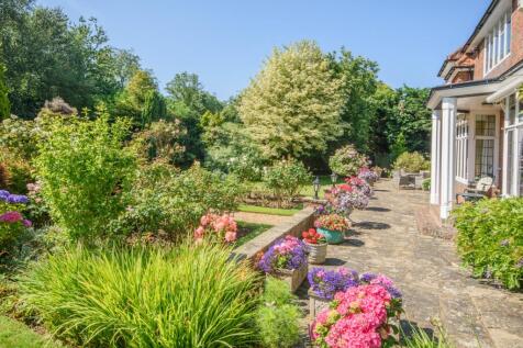 Property Image 16