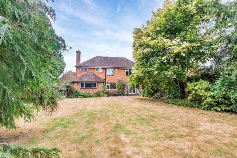Property Image 13