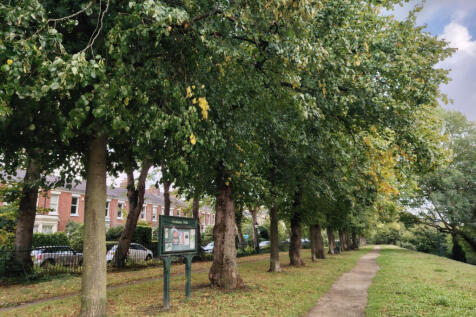 33 Bairstow Street - House Share