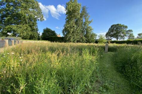 Wild flower meadow 