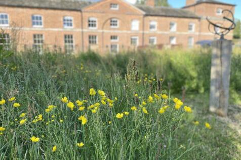 Wild meadow garden feature