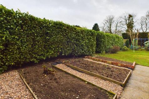 Rear garden- vegetable plot