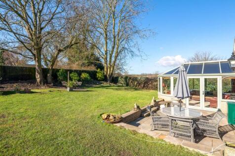 Garden and patio