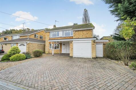 Front garden &amp; Driveway