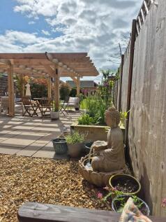 IMG-20251013-WA00...