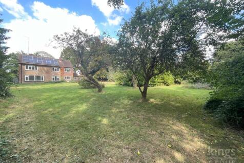 Garden 2.jpg