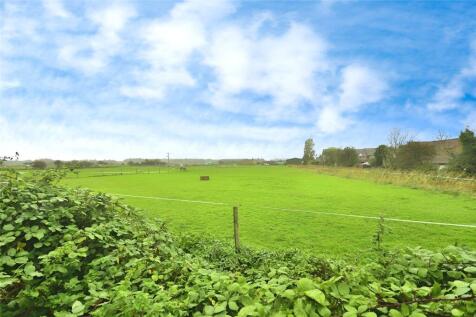 View From Garden