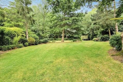 GARDEN 4.jpg