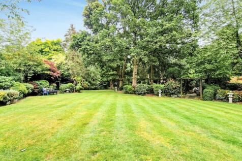 GARDEN 7.jpg