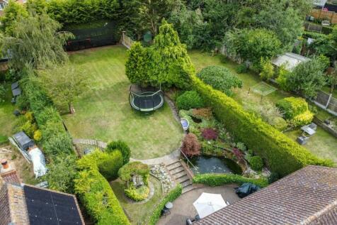 Garden1.JPG