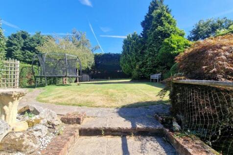 garden 2.jpg