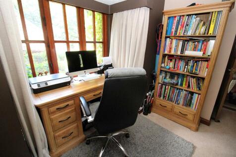 study area.JPG
