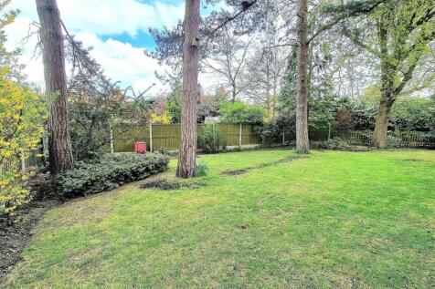 REAR GARDEN 2.jpg