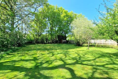END OF GARDEN.jpg