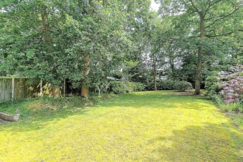 garden 3.jpg