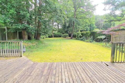 garden 7.jpg