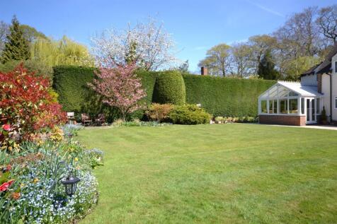 GARDEN3.JPG